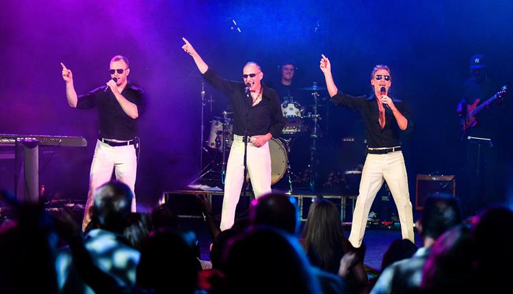 The Magic Of The Bee Gees