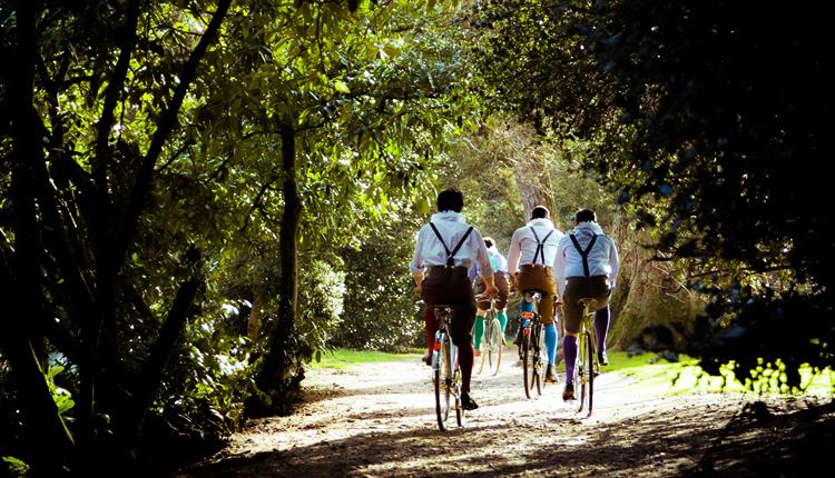 The HandleBards: As You Like It