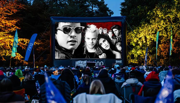 Halloween Outdoor Cinema at Lydiard Park