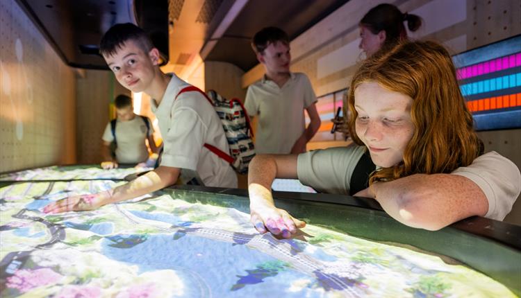 Fascinating and free exhibition train