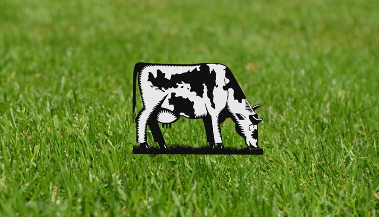 3 Acres + A Cow: Wild Waters Festival