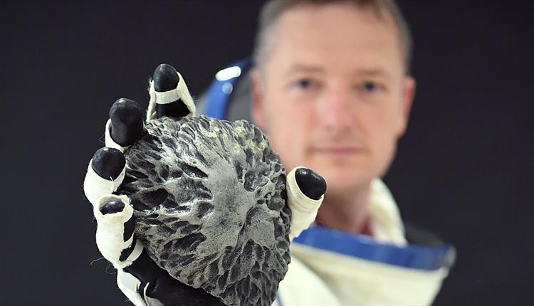 To Boldly Go … far … far away …