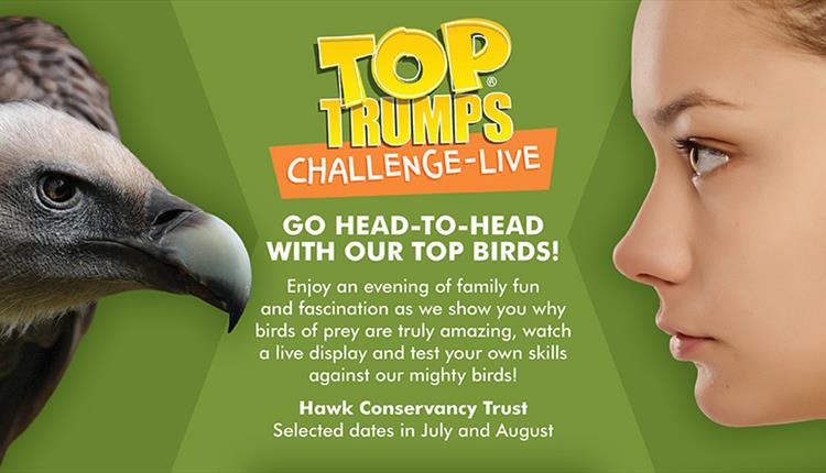 Top Trumps Challenge LIVE!