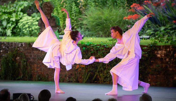 Ballet Under the Stars 2025