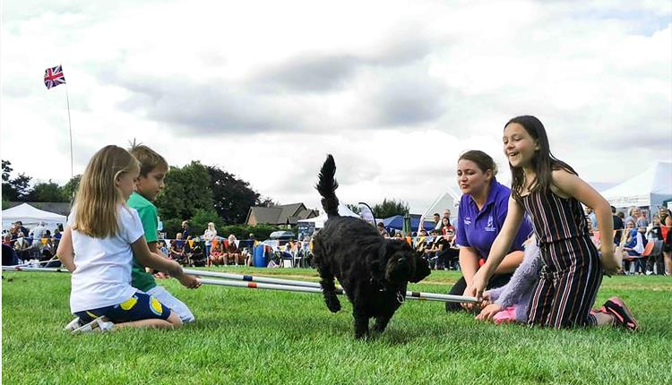 Paws Charity Dog Show