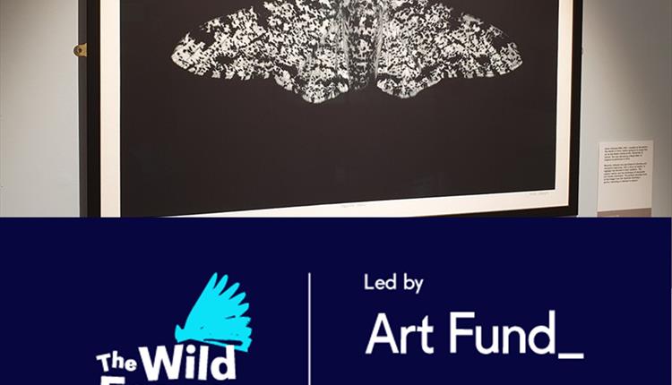 The Wild Escape Takeover Day