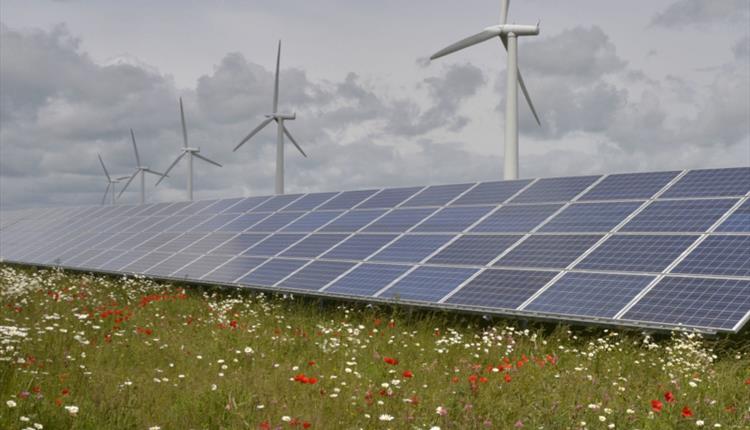 Westmill Wind Farm and Solar Park Guided Tour