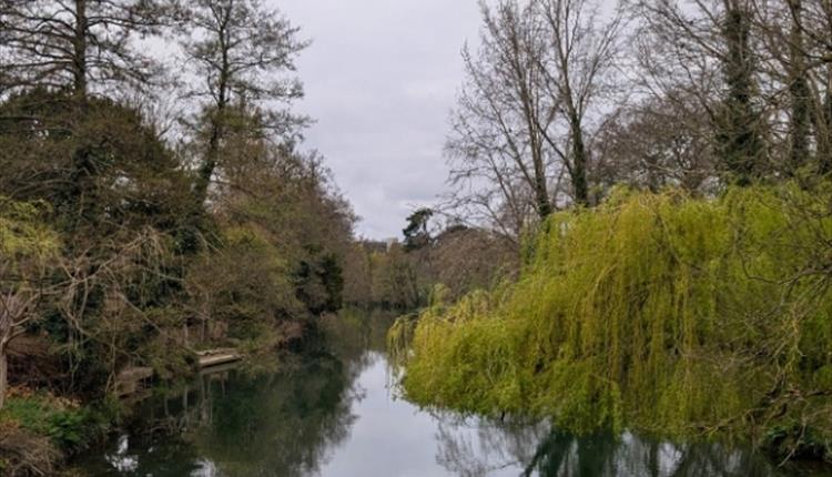 Mindful Meander