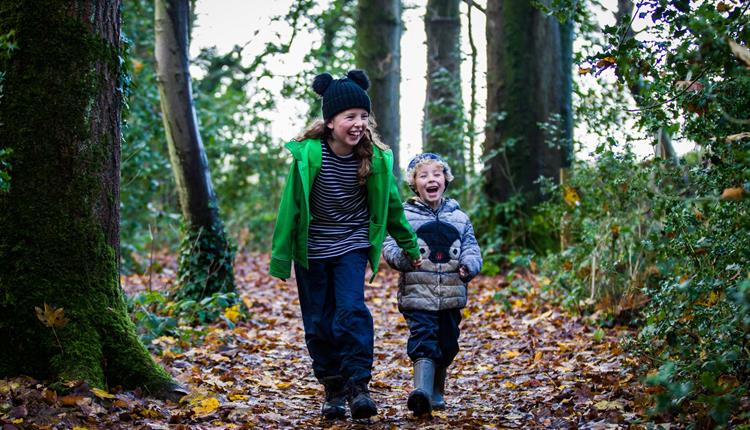 Winter Family Trail - Hidden Westonbirt