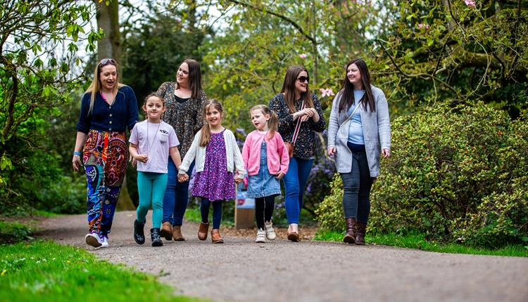 Wildlife walks - family event