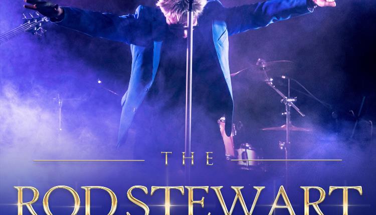 The Rod Stewart Songbook