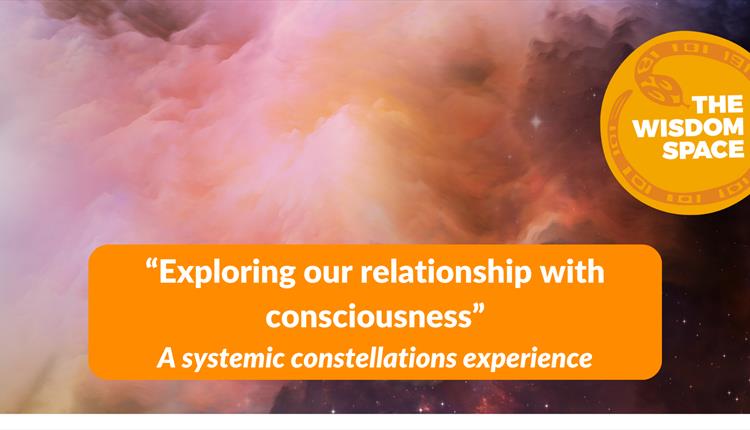 "Exploring our relationship with consciousness - a systemic constellations experience"