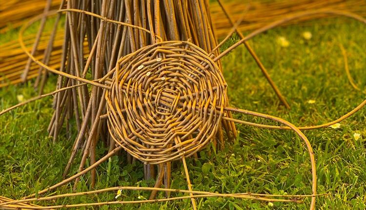 Willow Obelisk Making