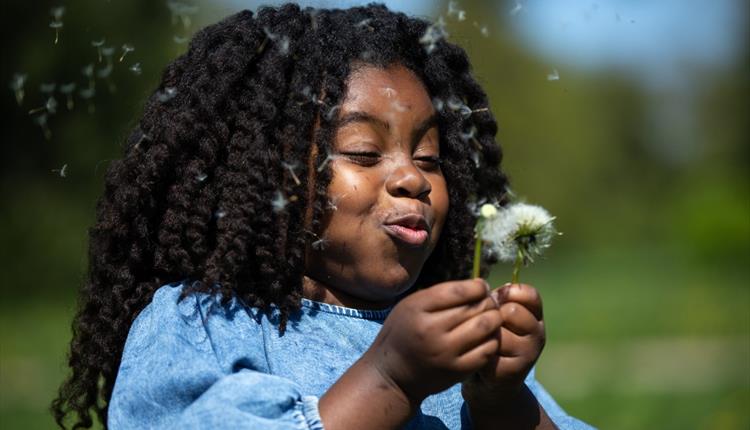 Wind – Blown Away – family activity days