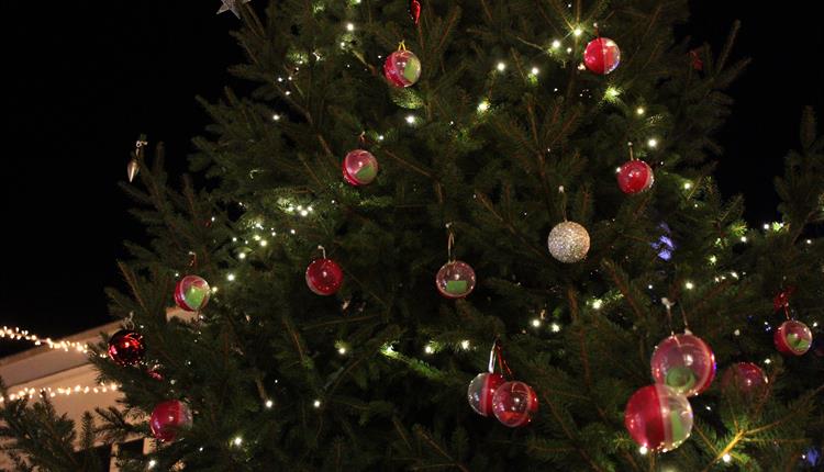 Corsham's Wishing Tree