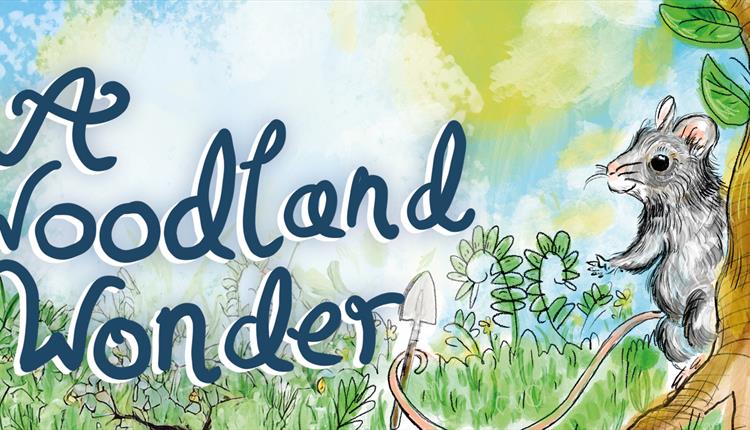 Playtime! A Woodland Wonder