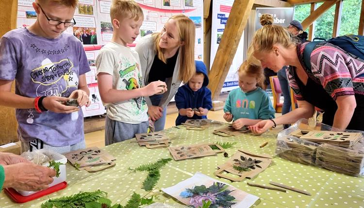 Woodland Webs – family activity days