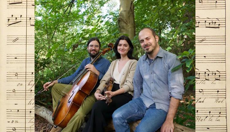 Salisbury Musick - Workshop - Discovering Early Music – Playing with History