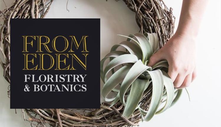 Air Plant Wreath