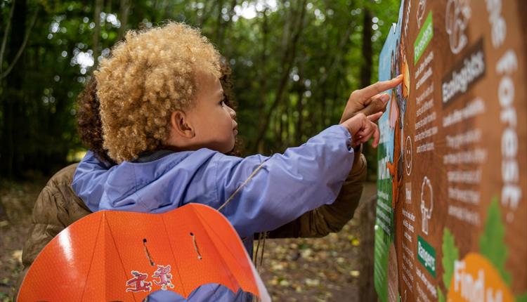 Zog activity trail - Westonbirt Arboretum