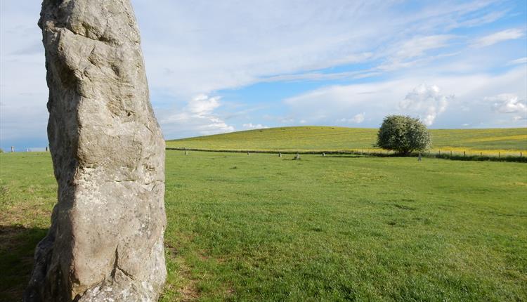 Avebury Landscape History Walk