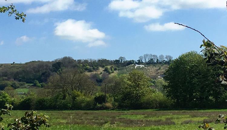 Broad Town White Horse (C) Alison Smith