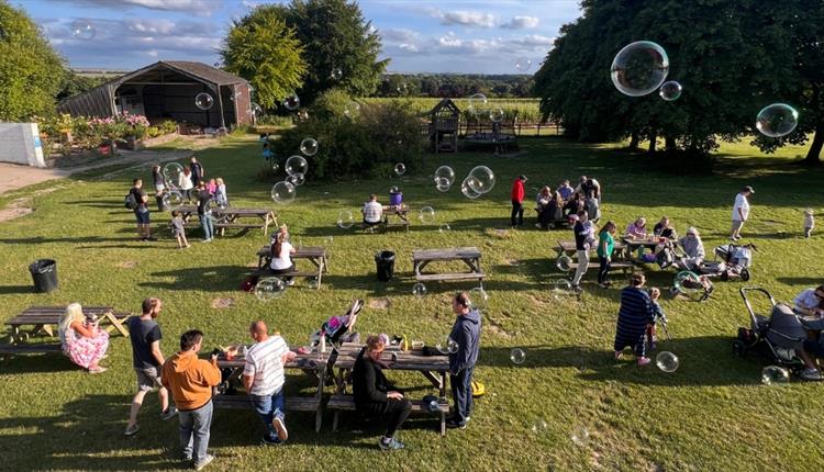 After Hours Fun & Food on the Farm! Last one of the year!