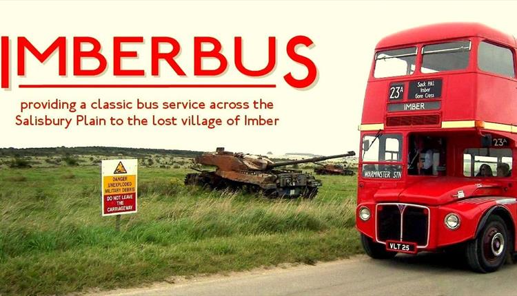 Imberbus