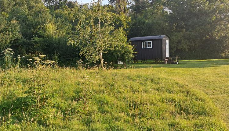 Marshwood Farm Camping