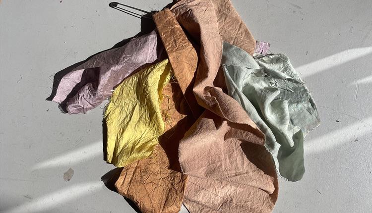 Botanical Dyes Workshop