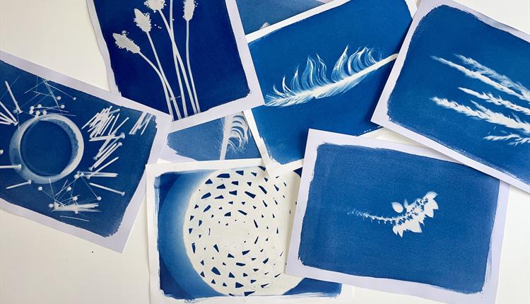 Children's Cyanotype Printing Workshop