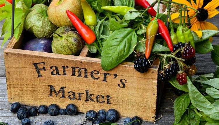 Farmers Market at River Bourne Community Farm