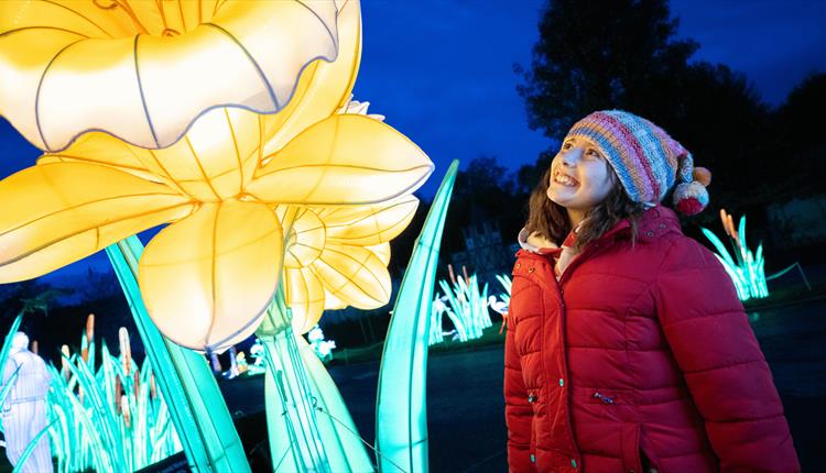 The Festival of Light at Longleat