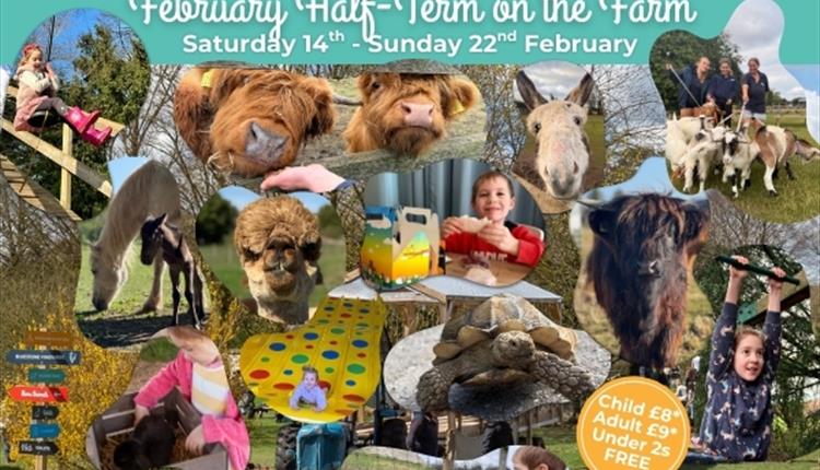 Half-Term Fun on the Farm 14th - 22nd February