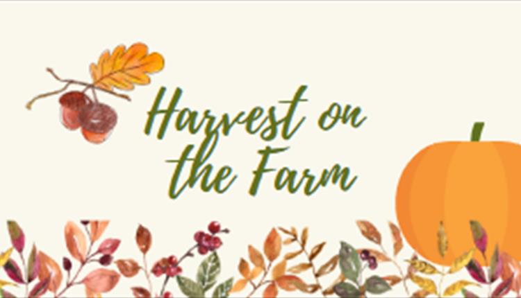 Harvest on the Farm