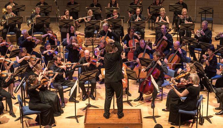 Bath Symphony Orchestra