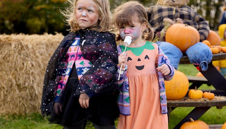 Harvest Festival