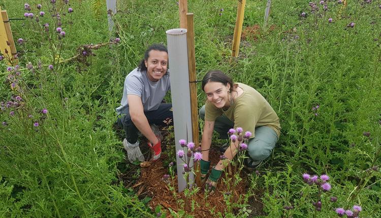 Youth Conservation Day at Westonbirt
