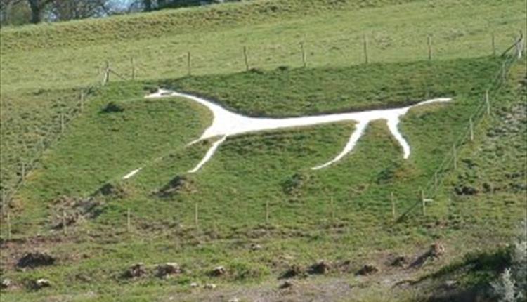 Marlborough White Horse