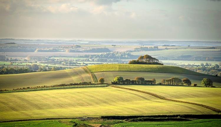 The Vale of Pewsey