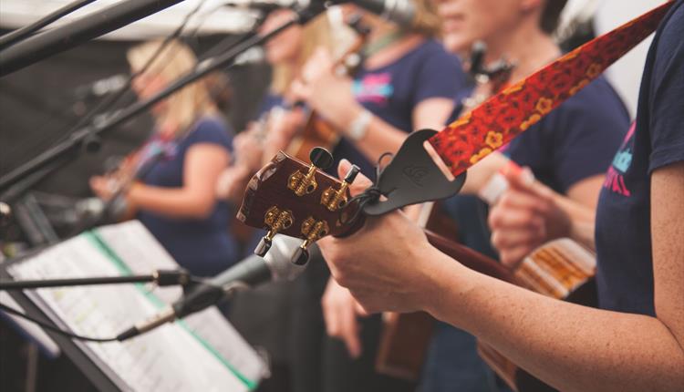 The Box Ukulele Festival