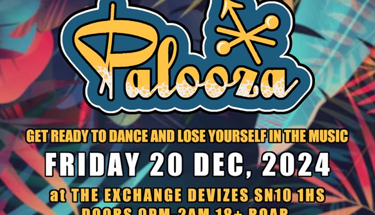 PALOOZA - 20th Dec - Devizes