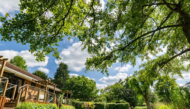 green garden space with wooden decking seating areas