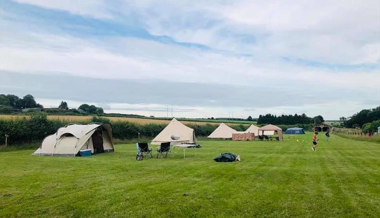 Marshwood Farm Camping