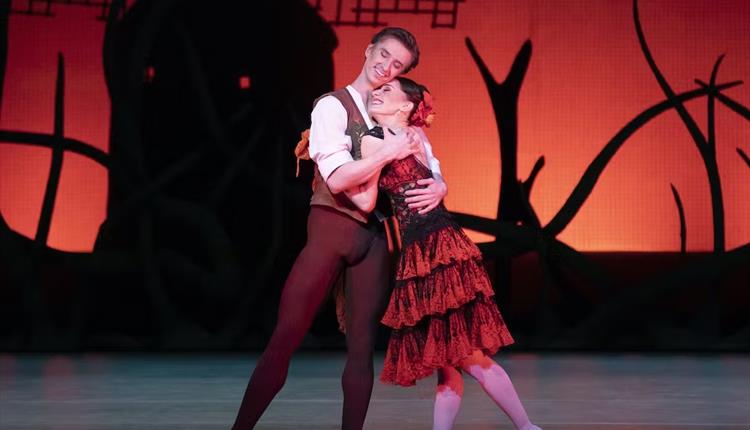 The Royal Opera Don Quixote Screening