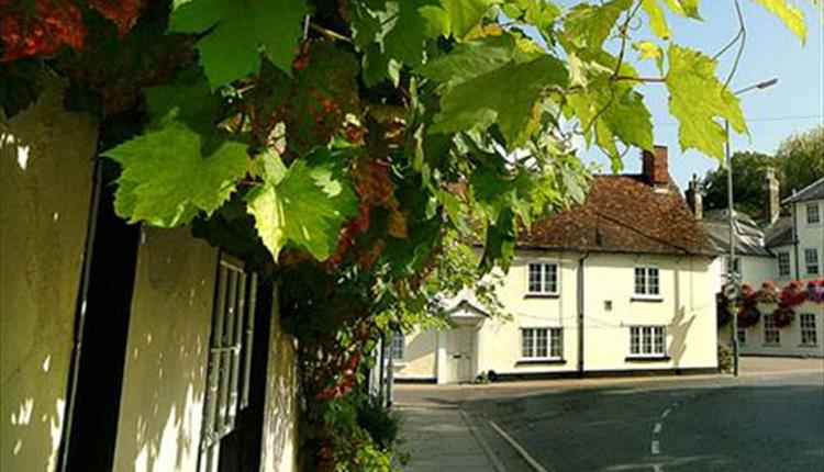 Wilton Food and Drink - Salisbury - Visit Wiltshire