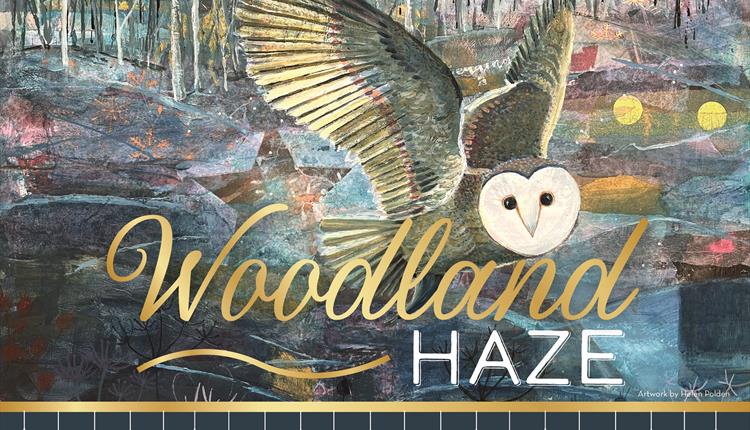 Woodland Haze - A Winter Exhibition