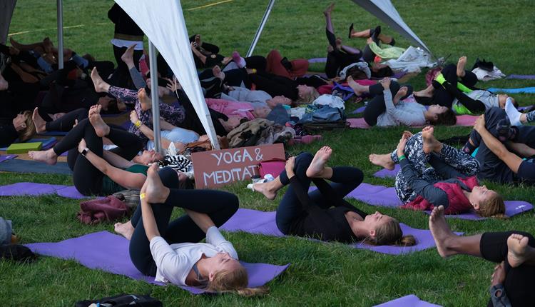 VERVE Wellness Festival