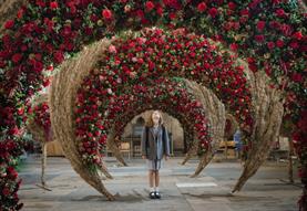 Festival of Flowers Salisbury 2020
