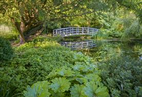 Dye Pool and Bridge - by Andrew Butler